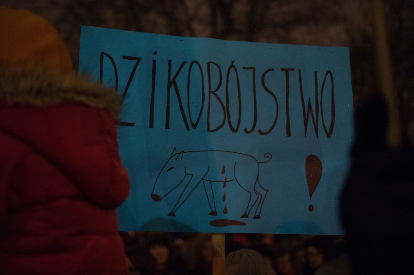 Protest przeciw odstrzałowi dzików pod Sejmem (9/01/2019)