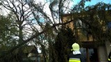 Orkan Grzegorz: 42 interwencje wodzisławskich strażaków [ZDJĘCIA]