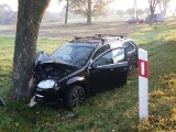 Jaroszewice Rychwalskie. Volkswagen golf uderzył w drzewo