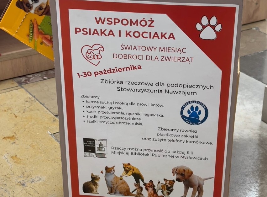 To już ostatnie chwile zbiórki na rzecz bezdomnych zwierząt w Mysłowicach. Co mieszkańcy przynosili do Miejskiej Biblioteki Publicznej?