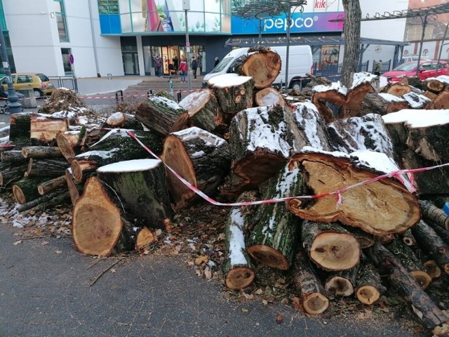 Wycięte drzewa przy galerii Pod Topolami w Zielonej Górze