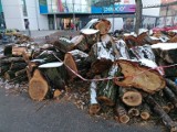 Drzewa przy galerii Pod Topolami zostały wycięte, niektórym mieszkańcom żal