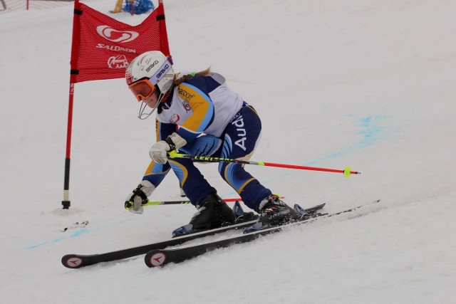 25. Mistrzostwa Wielkopolski w Narciarstwie Zjazdowym i Snowboardzie