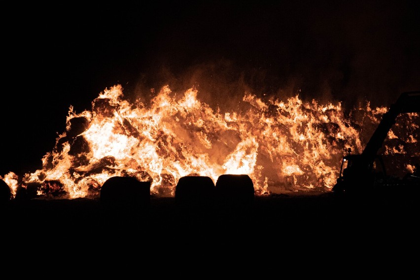 Pożar w Konarzewie. Kilkaset balotów gasiło 5 zastępów straży pożarnej [ZDJĘCIA]