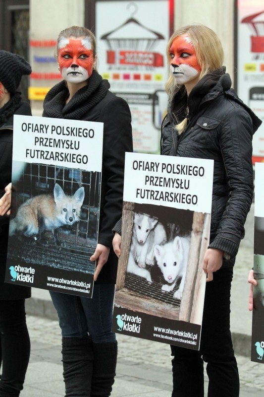 Wrocław: Protestowali przeciw hodowli zwierząt na futra (ZDJĘCIA)