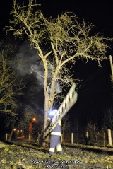Pożar drzewa w Podłężu Królewskim [FOTO]