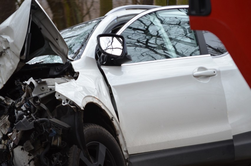 Na drodze Serby - Gola samochód uderzył w drzewo. Kierowca jest ranny. ZDJĘCIA.FILM