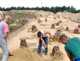 Księżycowe krajobrazy w powiecie świebodzińskim. Jakich śladów przeszłości od lat poszukiwali tutaj archeolodzy?  