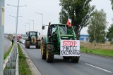 Blokada rolników w Żarach. Traktory wyjechały na ulice miasta, rolnicy sprzeciwiają się tzw. piątce Kaczyńskiego