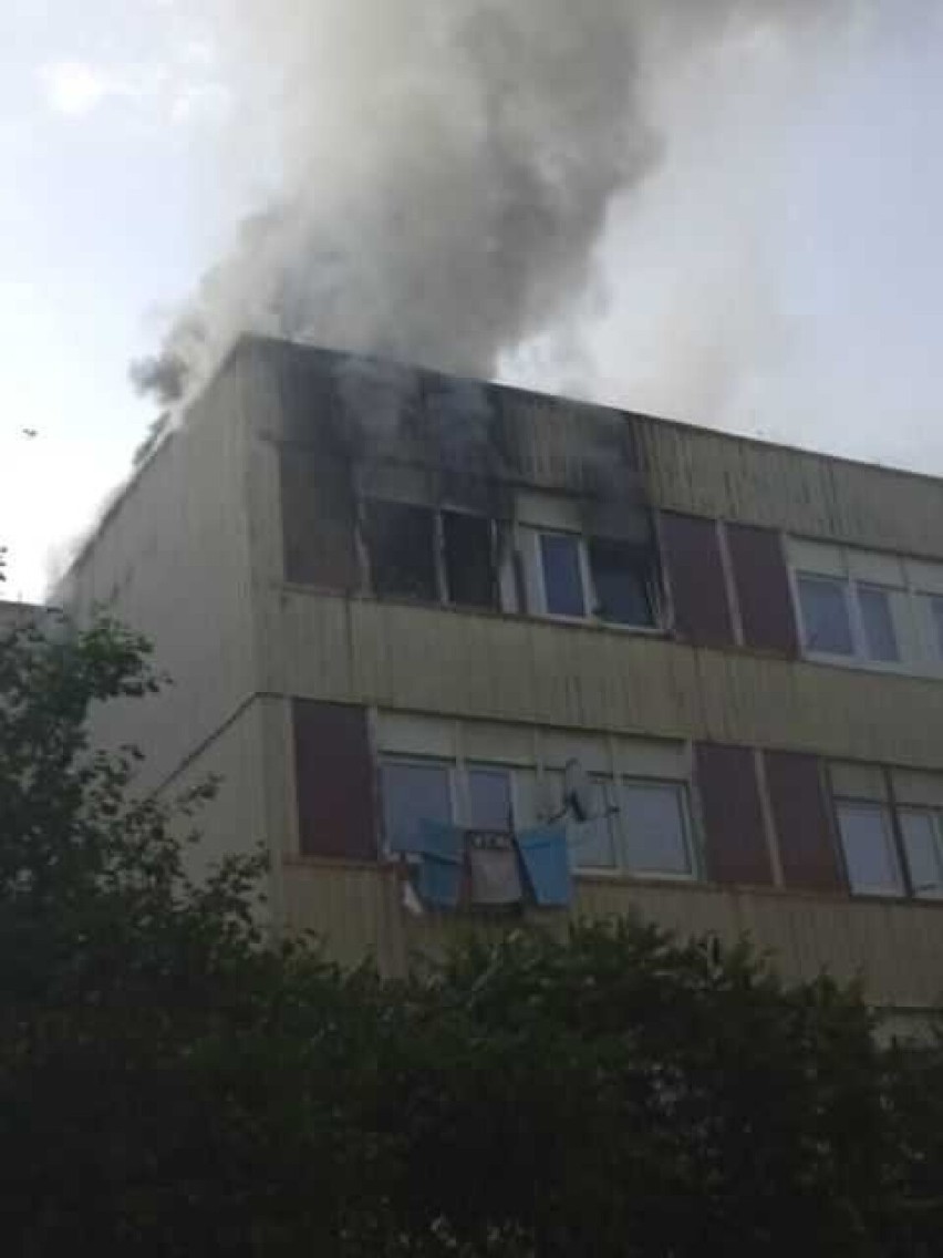 Pożar wybuchł 19 lipca w bloku na osiedlu Młodych Hutników w...