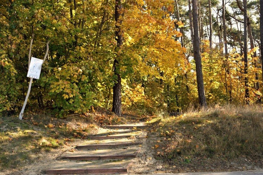 Gmina Zbąszyń;  Mały wypad za miasto - 31.10.2021