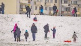 Sypnęło śniegiem w Inowrocławiu. Najmłodsi zjeżdżają na sankach z górki na Rąbinie