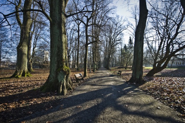 W przyszłym roku Park im. Tadeusza Kościuszki w Koszalinie wypięknieje - zapewniają nas w koszalińskim ratuszu