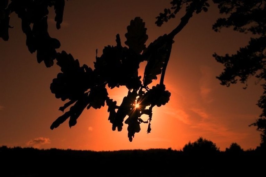 Zachód słońca fot. Artur Hampel