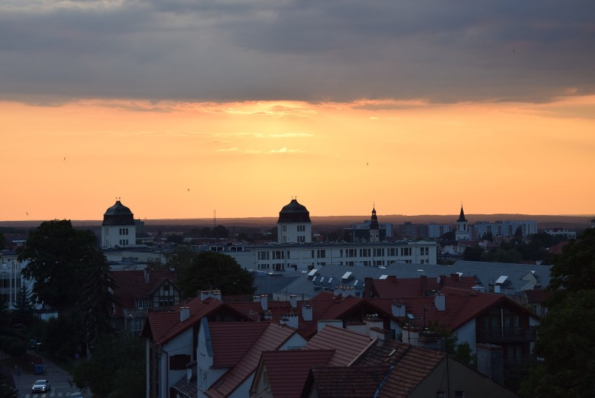 Jerzyki nad Zieloną Górą.