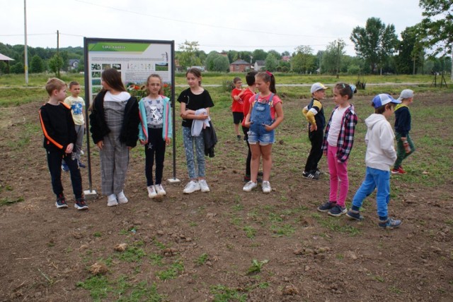 Przy Szkole Podstawowej w Kosienicach w gm. Żurawica powstała kwietna łąka.