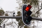 Inteligentne światła w Pelplinie dbają o to aby kierowcy jechali zgodnie z przepisami