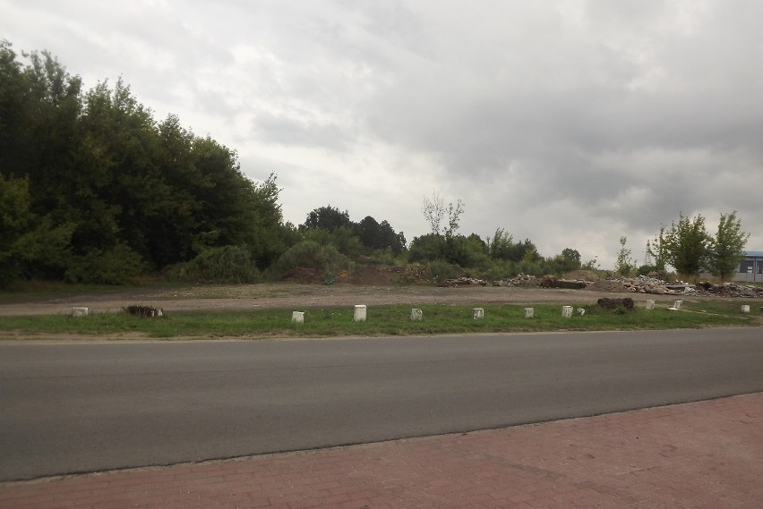W Golubiu–Dobrzyniu na ulicy Sokołowskiej znajduje się składowisko odpadów wykorzystywane przez lokalny samorząd