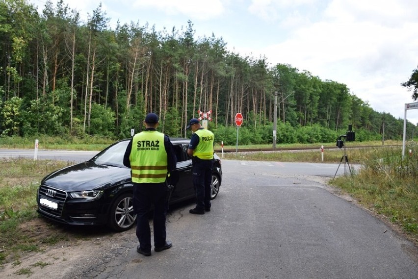 Posypały się mandaty... Funkcjonariusze postawili szlaban na ryzyko [ZDJĘCIA]