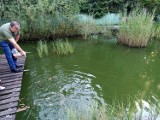 W Bytomiu przy ulicy ulicy Szyby Rycerskie powstały zbiorniki wodne, które tworzą naturalną "stołówkę" dla zwierząt