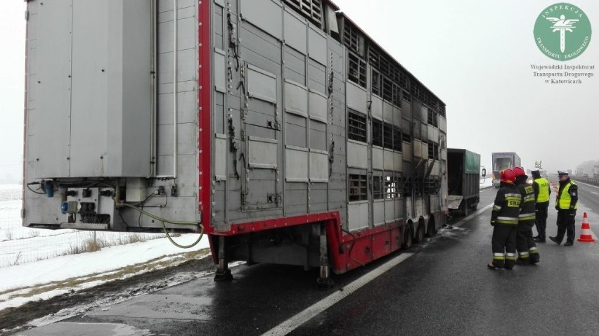Wypadek na A4 w Gliwicach. Zwierzęta spłonęły w ciężarówce [ZDJĘCIA]