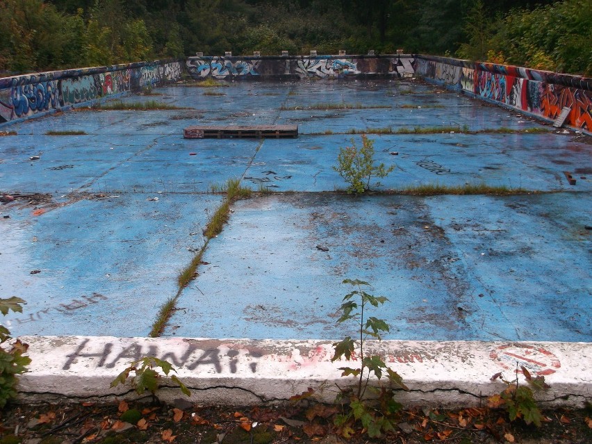 Stary basen przy Ślężnej wygląda jak dżungla. Co powstanie w jego miejsce? (ZDJĘCIA)