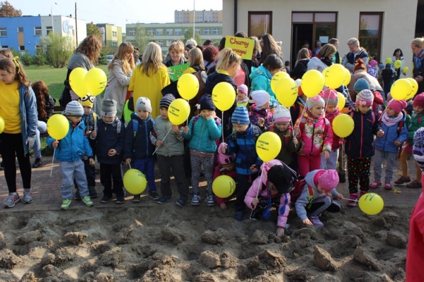 Pola Nadziei Żory 2015: Posadzono cebulki żonkili