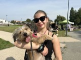 Psy ze schroniska są najlepsze! Piknik adoptowanych czworonogów zorganizował OTOZ Animals 