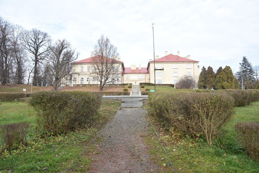 Tak prezentuje się Park Sanguszków późną jesienią