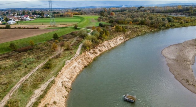 Rwący nurt Dunajca obrywa brzeg rzeki i jest już blisko wałów przeciwpowodziowych.
