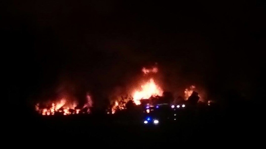 Pożar na złomowisku w Chojnem, zdjęcia - Klaudia Jadczak