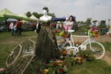 Majówka w Lubinie. Wzgórze Zamkowe zaprasza na Festiwal Kwiatów i Roślin oraz Festiwal Piwa