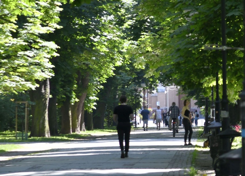 Piękny początek tygodnia w Radomiu. Park Kościuszki to idealne miejsce na popołudniowy spacer (Zdjęcia)