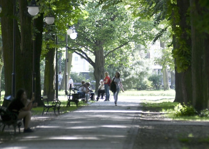 Piękny początek tygodnia w Radomiu. Park Kościuszki to idealne miejsce na popołudniowy spacer (Zdjęcia)