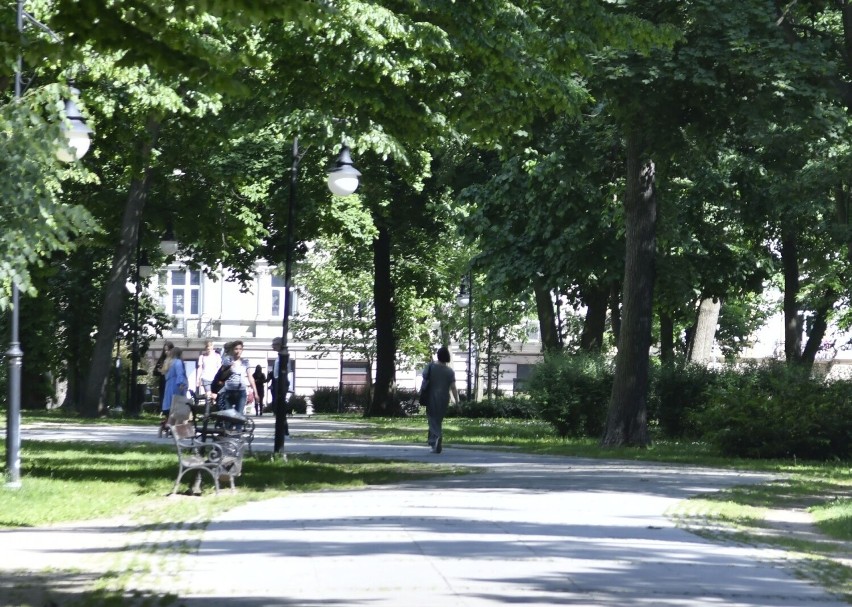 Piękny początek tygodnia w Radomiu. Park Kościuszki to idealne miejsce na popołudniowy spacer (Zdjęcia)