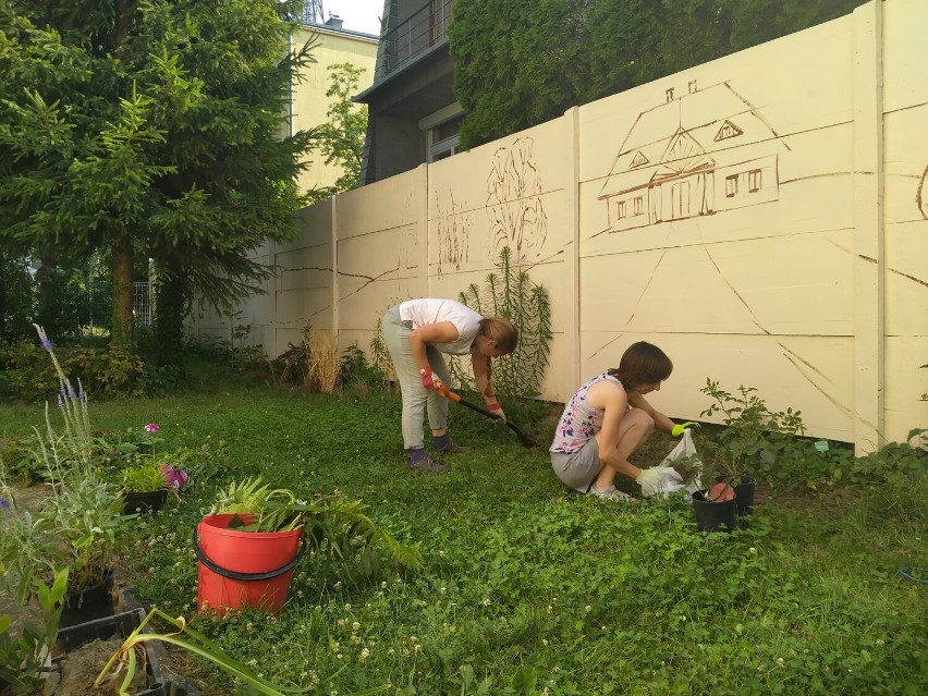 Przy Hufcu ZHP powstaje mural połączony z ekologicznym Polskim Ogrodem