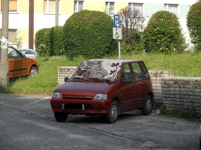 Grad w Rybniku: Rybniczanie zabezpieczają auta