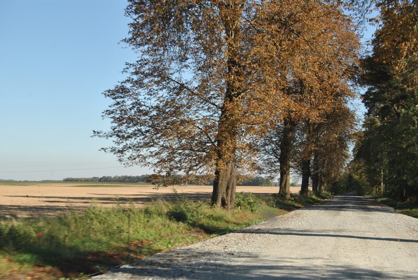 Droga powiatowa Piotrowo Pierwsze-Modrze w remoncie FOTO 