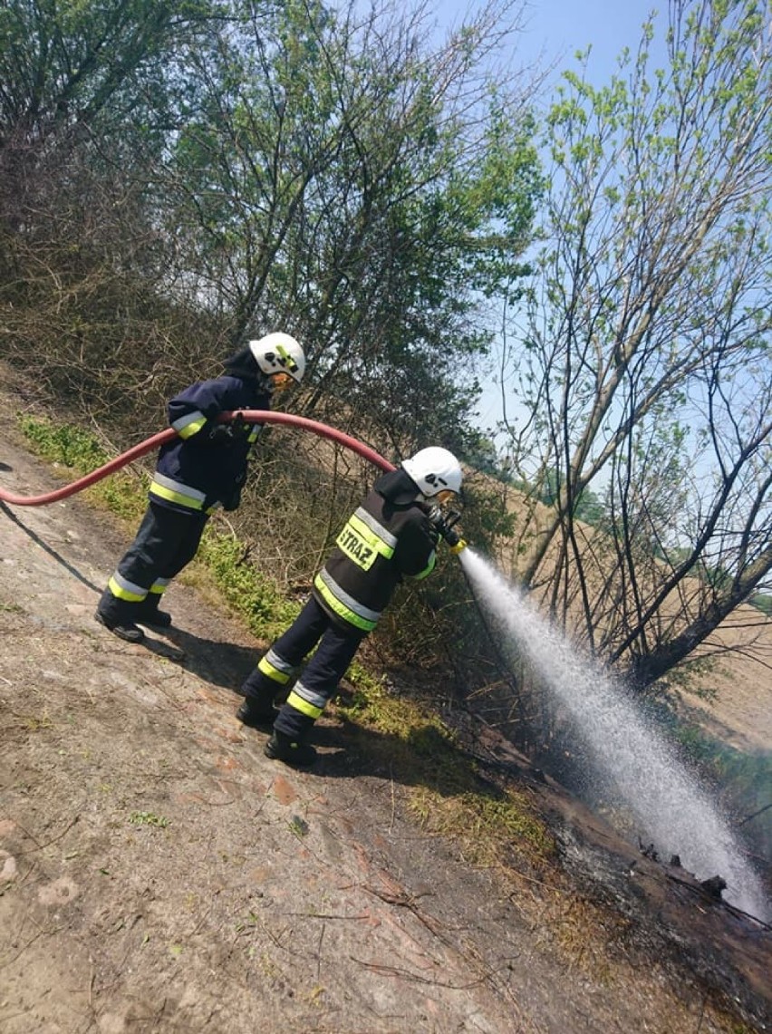 Pożar traw i krzewów