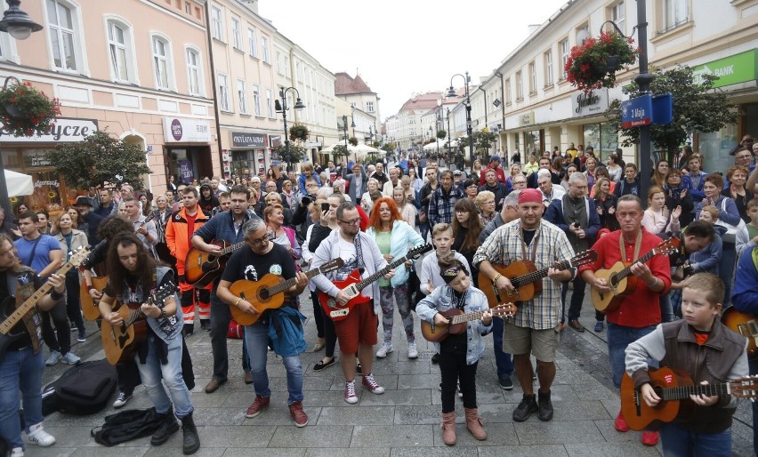 Koncert gitarzystów przed pomnikiem Tadeusza Nalepy w...