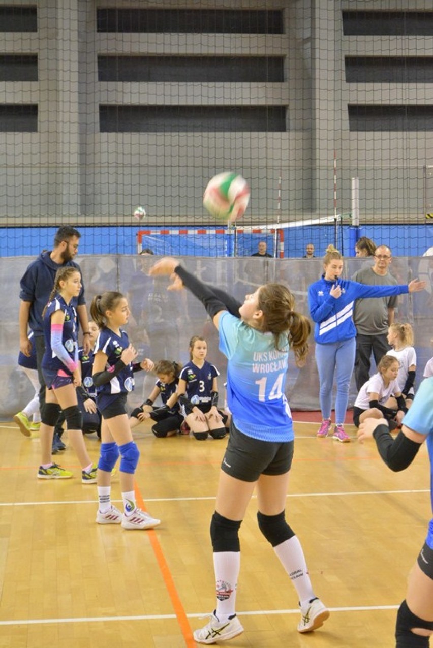 W turnieju w Wałbrzychu rywalizowało prawie 150 młodych siatkarek