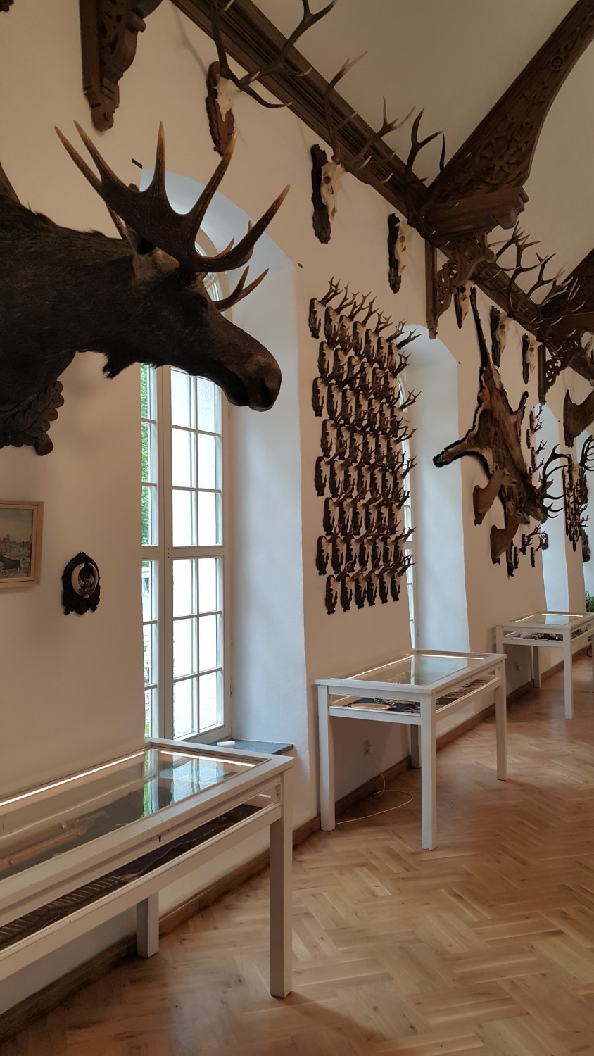 Muzeum Tajemniczy Las w Bukowcu - już dziś otwarcie (11.05)