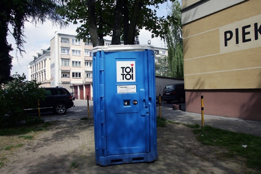 Przenośna toaleta przykuta łańcuchem do drzewa w Legnicy