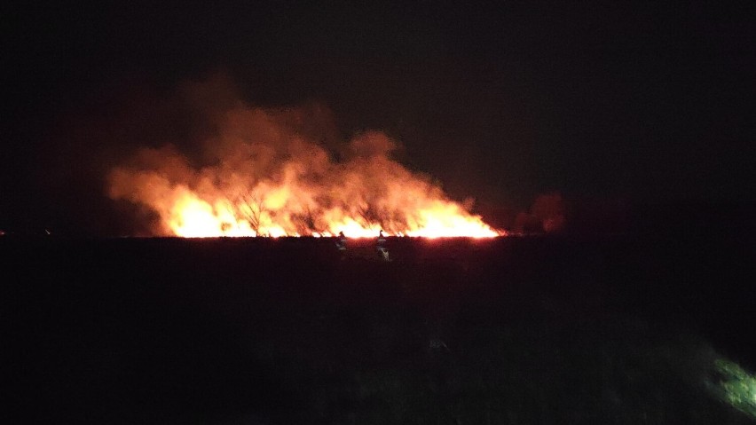 Pożar nieużytków w okolicach Nowego Dworu