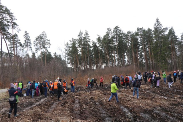 Poprzez akcję „Lasy pełne energii” PGE Dystrybucja realizuje działania z zakresu społecznej odpowiedzialności biznesu (CSR) oraz zrównoważonego rozwoju.