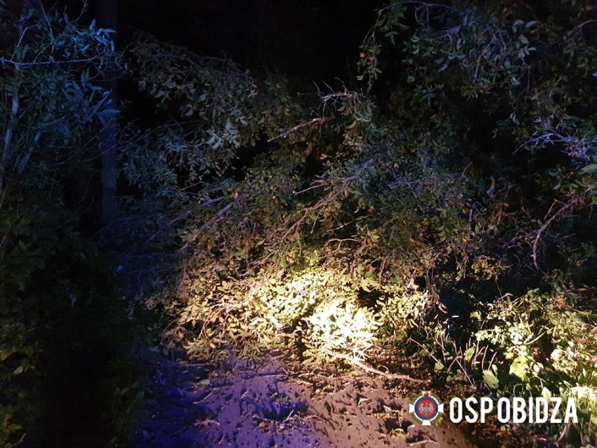 Drzewo uszkodziło dach i linie energetyczne w Obidzy