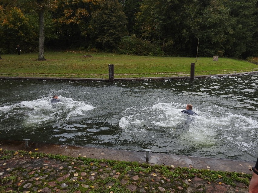 Piknik nad Kanałem Augustowskim przyciągnął augustowian