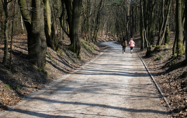 Otwarcie lasów od poniedziałku, z wyłączeniem infrastruktury towarzyszącej, takiej jak parkingi czy ścieżki edukacyjne – takie rekomendacje miał przedstawić premierowi przed rozpoczęciem Rządowego Zespołu Zarządzania Kryzysowego minister środowiska Michał Woś