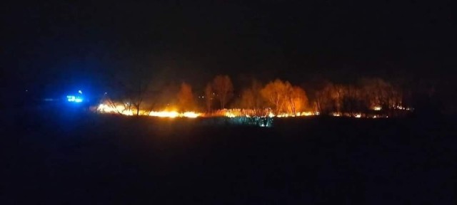 Pożar traw w Dworach Drugich (04.04.2022)