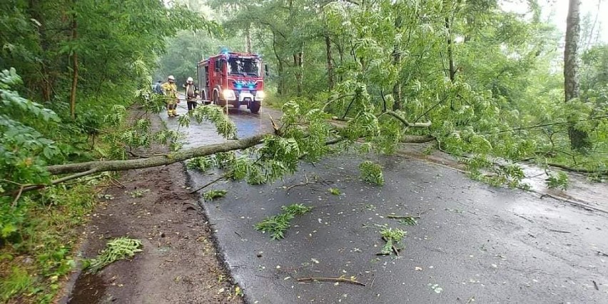 Przewrócone drzewo na drodze powiatowej w Mrówkach